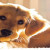 Miss-Jack-