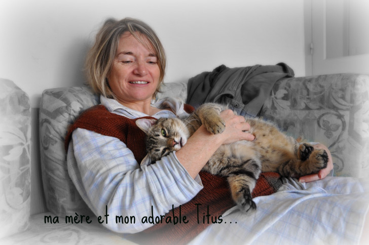 Chat Titus(avec ma mère) - Mâle (1 an)