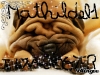 mathildel1 - éleveur canin Dogzer