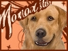 Momoxiti - éleveur canin Dogzer