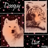 Dooguy-Live - éleveur canin Dogzer