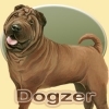 Dreamzer - éleveur canin Dogzer